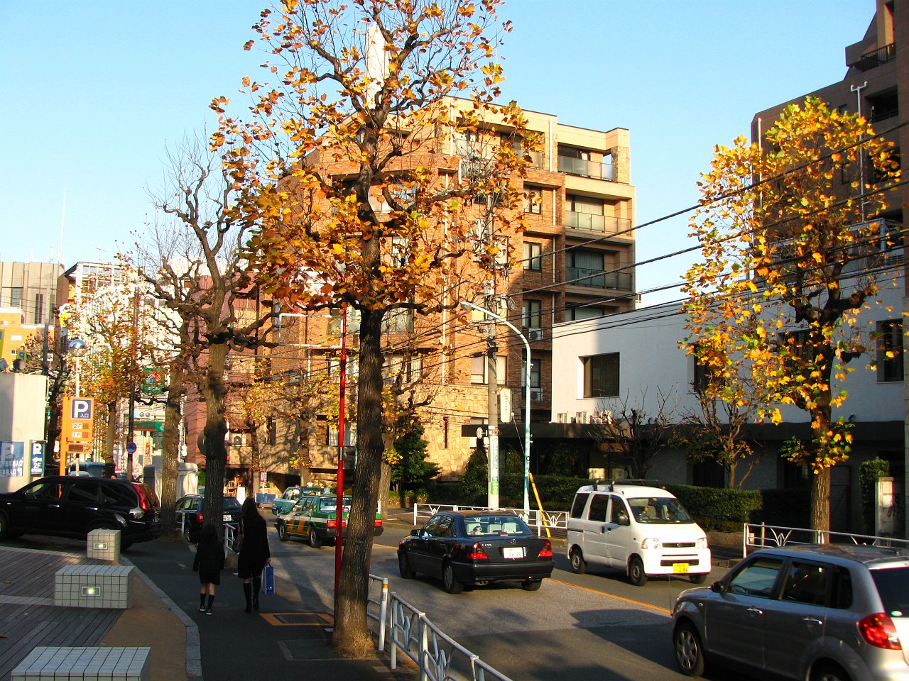 autumn daikanyama.JPG